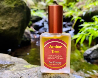 Amber Tree Botanical Perfume/Cologne - Made in HAWAI'I