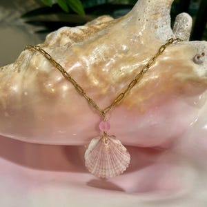 Scallop Shell Necklace, Dainty Seashell Necklace, Real Seashell Necklace, Mermaid Necklace, Ocean Jewelry, Beach Necklace, Beach Jewelry