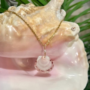 Scallop Shell Necklace, Dainty Seashell Necklace, Real Seashell Necklace, Mermaid Necklace, Ocean Jewelry, Beach Necklace, Beach Jewelry