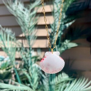 Scallop Shell Necklace, Dainty Seashell Necklace, Real Seashell Necklace, Mermaid Necklace, Ocean Jewelry, Beach Necklace, Beach Jewelry