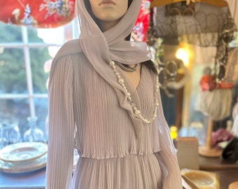 Vintage Pleated Plisse Ghostly Gown
