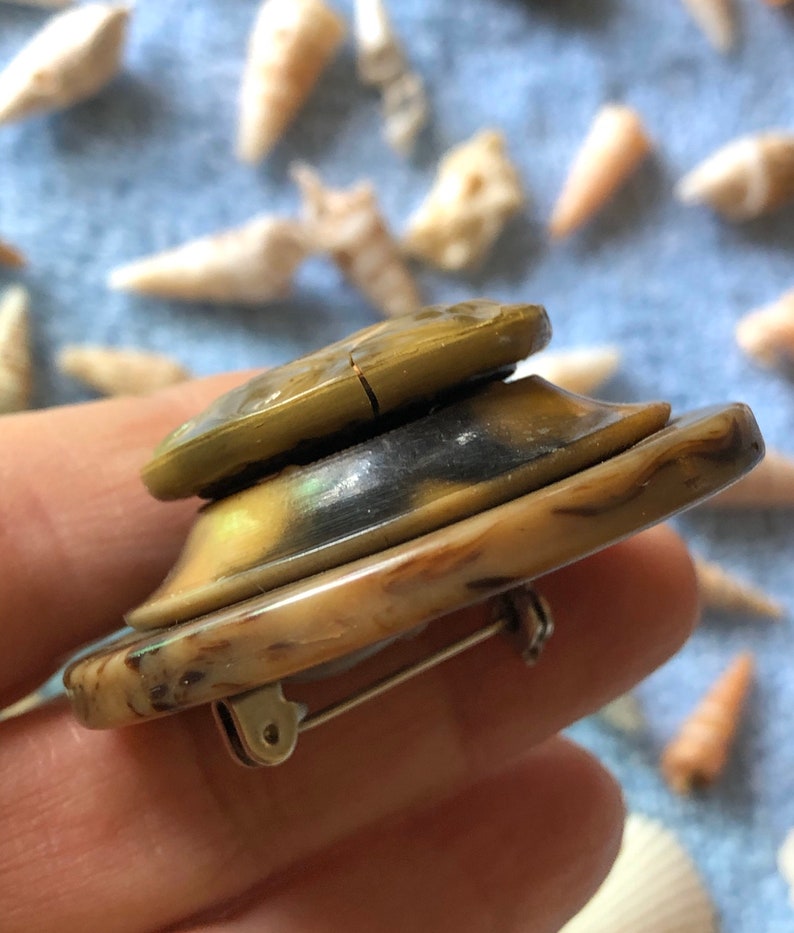Huge Unique Brooch
