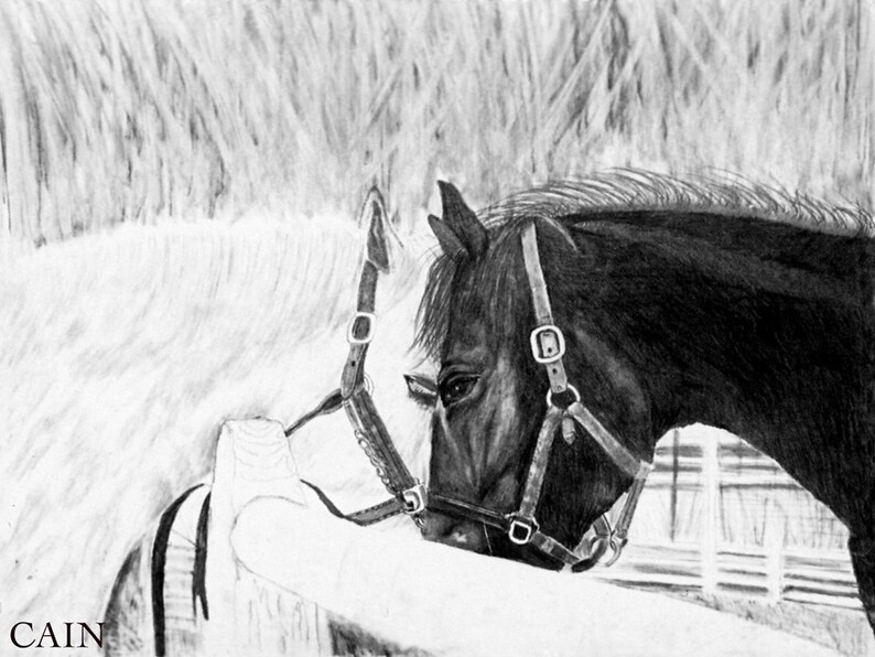 Canvas Print Large Canvas Black and White Horses Original Etsy