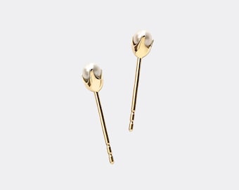 May include: A pair of gold stud earrings with small white pearl accents.