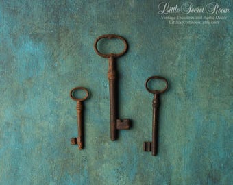 Juego de 3 llaves de esqueleto vintage, llaves antiguas oxidadas con pátina, llaves coleccionables de hierro antiguo, decoración steampunk, llave decorativa para arte alterado