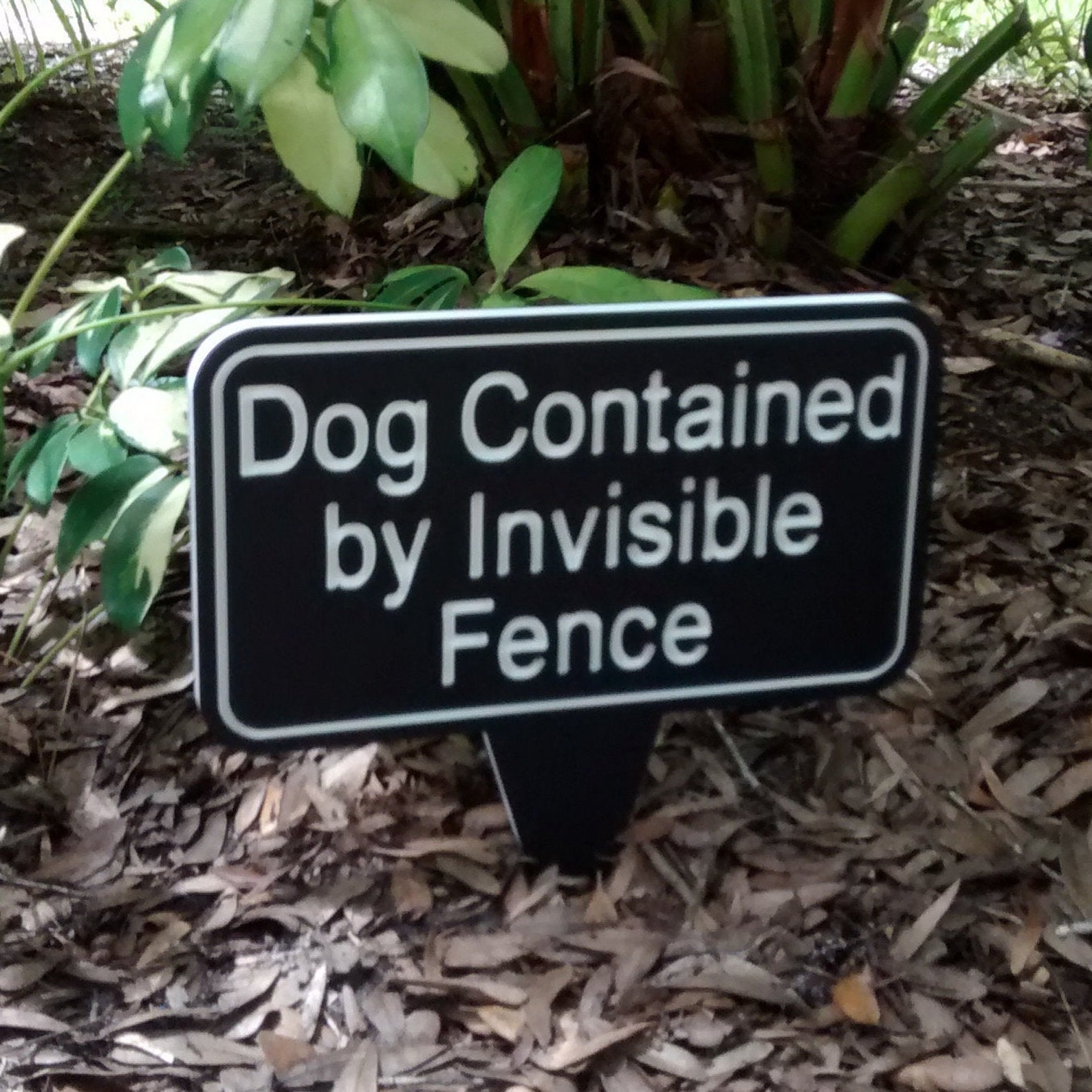 Invisible Fence Dog Contained by Invisible Fence Cat Etsy