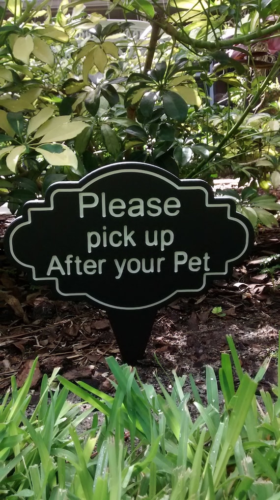 How To Clean Dog Poop From Garden