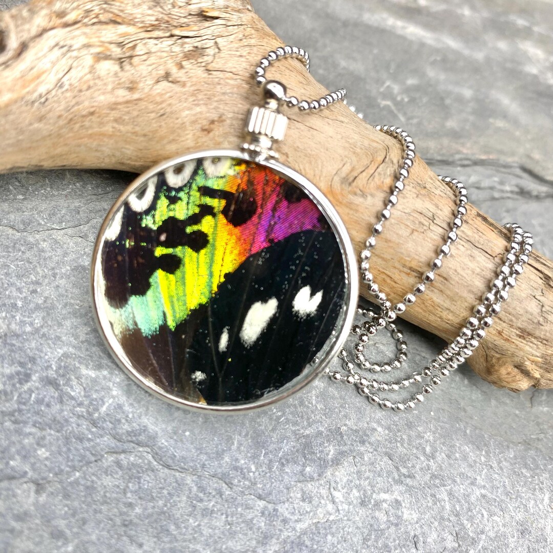 Moth Friend Sunset Moth Wing Pendant Necklace - Etsy