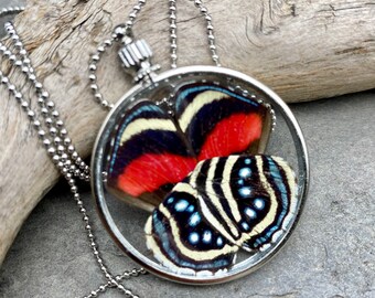 Butterfly Wing Pendant Necklace Callicore Hesperus