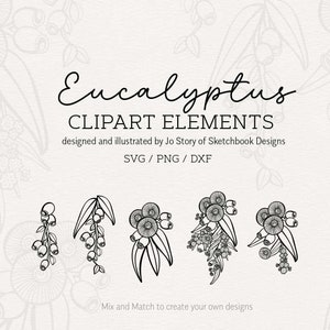 5 Imágenes prediseñadas de eucalipto digital dibujadas a mano, eucalipto SVG, PNG, DXF, goma de eucalipto, plantas nativas australianas esbozadas de eucalipto