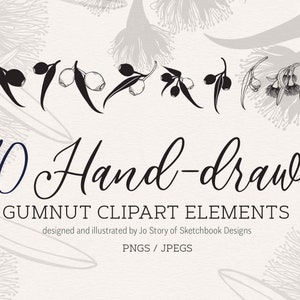 10 Hand-drawn Digital Gumnut Clipart
