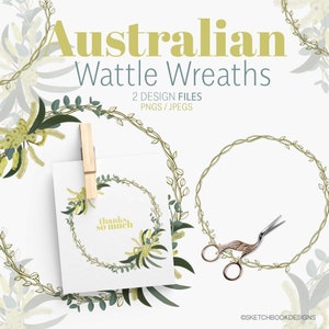2 coronas de acacia Clipart, flores nativas australianas, flores de acacia, flores de acacia amarilla flores australianas digitales, archivos PNG de acacia