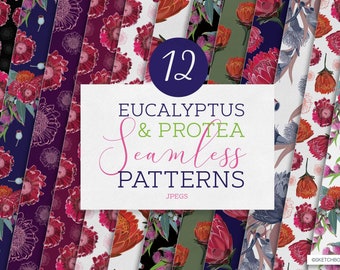 Eucalyptus & Protea Patterns, Digital Seamless Patterns