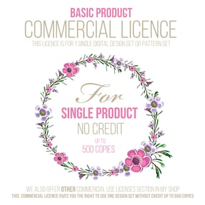 Basic Commercial License For Single Use In Graphic Sets & Pattern Sets