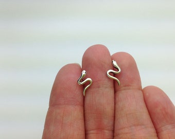 May include: A pair of silver snake stud earrings. The earrings are small and delicate, and they are perfect for adding a touch of whimsy to any outfit.