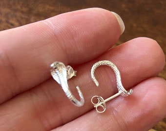 May include: A pair of silver snake earrings. The earrings are in the shape of a coiled snake with a textured surface. The earrings are attached to a post with a butterfly back.