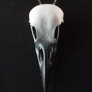 Real Crow Skull Necklace Hand Painted Matte Shades of Grey to - Etsy