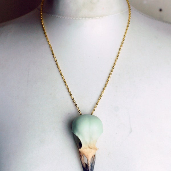 Crow skull taxidermy hand painted  real crow skull necklace in virgin mint green, cappuccino and vampirella real bird skull