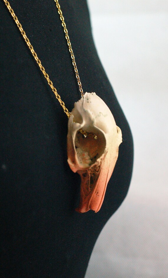 Rabbit Skull Necklace With Black and Gold Chain Etsy