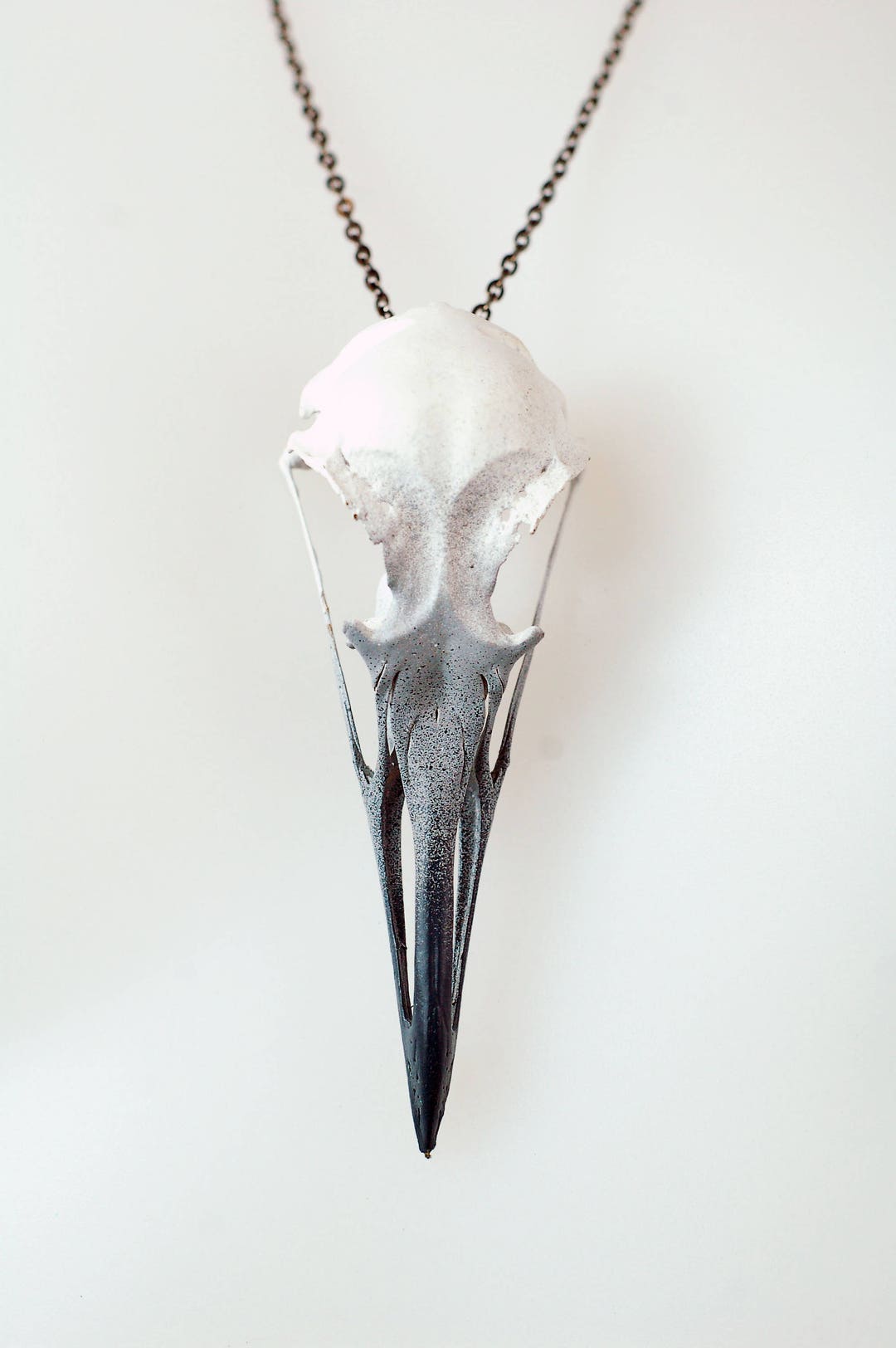 Herring Gull Skull Necklace Etsy