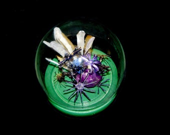 Iridescent Real Mouse Bone Glass Dome