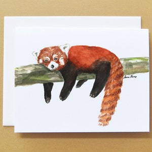 Cartão Panda Vermelho Watercolor_Blank