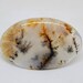 Natural dendritic landscape agate cabochon shape pair, Pair of agata dendritica, pair cabochon dendritic quartz