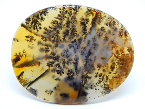 Agata dendritica cabochon cabochon cabochon 57 x 46 mm, quarzo dendritico, opale dendritico, pietra dura cabochon ovale agata gialla 06a4fb Agata dendritica cabochon cabochon cabochon 57 x 46 mm, quarzo dendritico, opale dendritico, pietra dura cabochon ovale agata gialla 06a4fb