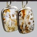Dendritic quartz earrings, Agate gemstone earrings, dendritic agate earrings, merlinite moss agate earrings, landscape picture agate earring