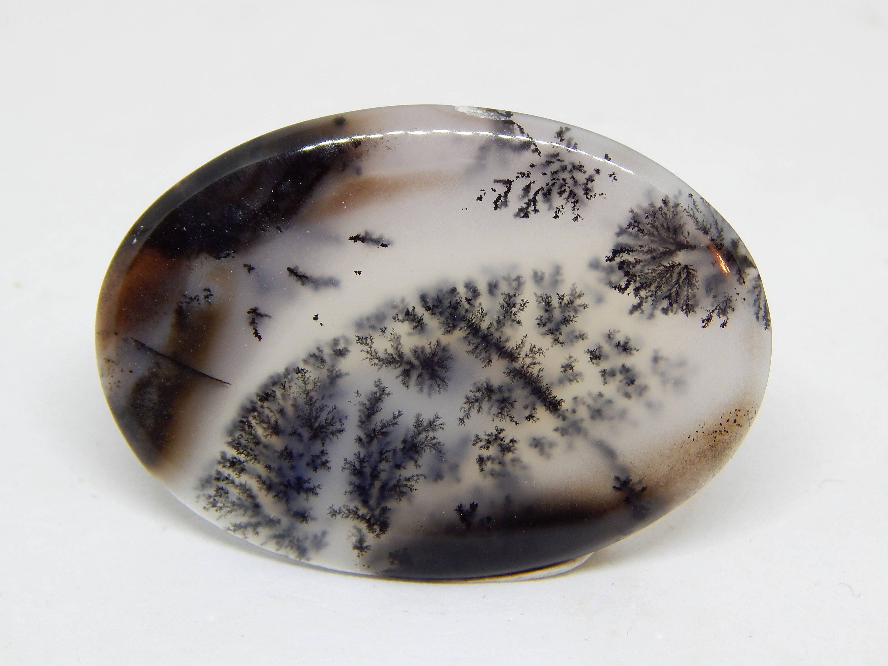 Dendritic agate cabochon shape dendritic quartz dendritic Etsy