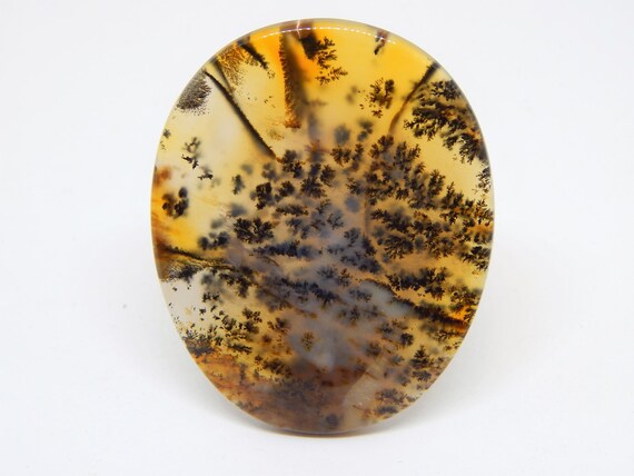 Agata dendritica cabochon cabochon cabochon 57 x 46 mm, quarzo dendritico, opale dendritico, pietra dura cabochon ovale agata gialla 06a4fb Agata dendritica cabochon cabochon cabochon 57 x 46 mm, quarzo dendritico, opale dendritico, pietra dura cabochon ovale agata gialla 06a4fb
