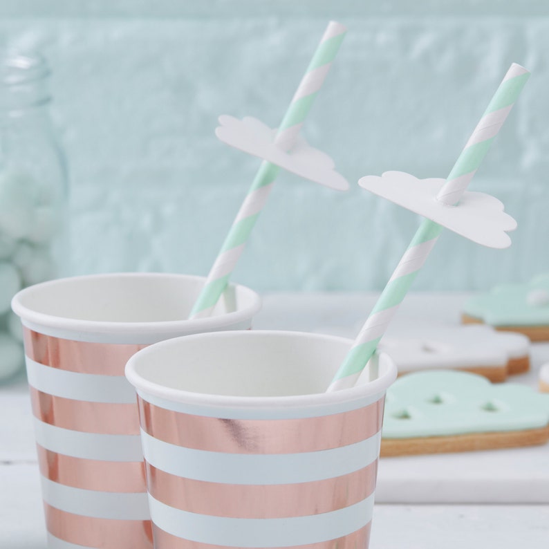 Mint & Rose Gold Stripe Paper Cups Hello World Baby Shower Etsy