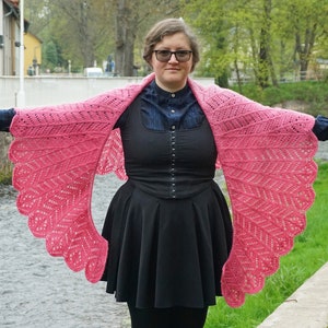 Tunisian Crochet Macaw wings shawl pattern Instant download PDF digital Tunisian crochet wing shaped shawl instructions, charts, video image 5