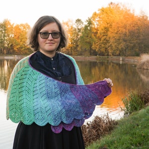 Tunisian Crochet Macaw wings shawl pattern Instant download PDF digital Tunisian crochet wing shaped shawl instructions, charts, video image 9