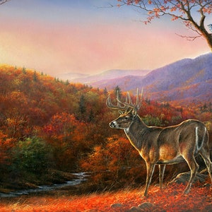 Whitetail Mountain, Strong Buck, Trees, Autumn Colors, Fall, Stream, 36-in Panel, Digital Print, Art Licensing, Four Seasons, ML32141C1