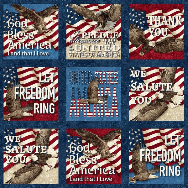 Patriotic Phrases, Fabric Panel, 24x43 inches, 15 Square Blocks, Stonehenge, Stars & Stripes 12, Quilts of Valor, Northcott, 27011-49