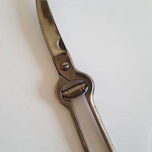 Vintage circa 1950's Shapleigh's Hardware Co poultry or game bird shears, well used but good condition