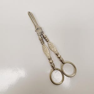 Vintage possibly antique fancy Flower Shears, cleaned plain steel, floral scissors garden pruning tools