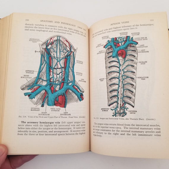 Vintage 1947 Anatomy & Physiology Textbook: 11th Edition