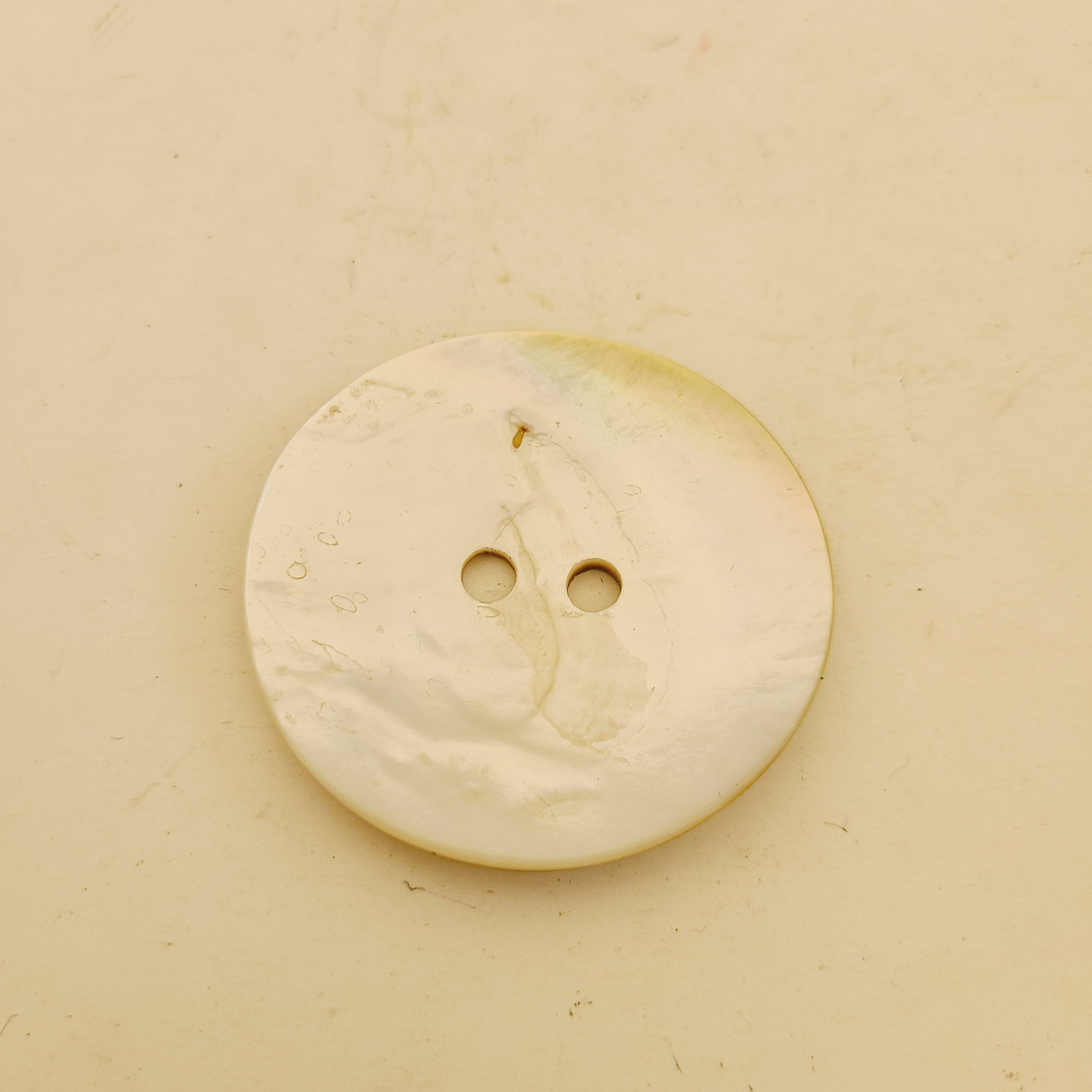 Large Shell Buttons Vintage/antique Large Shell Button 2 1/2