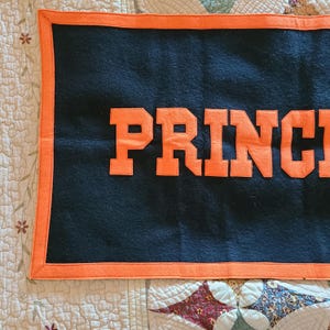 Vintage 1980s Princeton University Wool Felt Banner (37