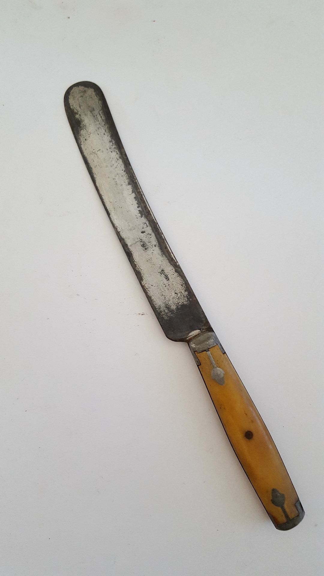 Antique 19th Century Bone Handled Butter Knife, Marked American Cutlery Company, Possibly 1870