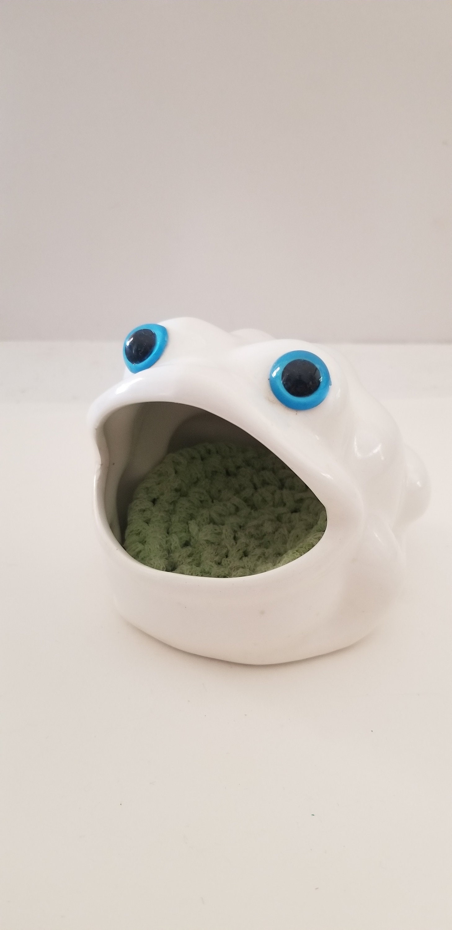 Frog Brillo or sponge holder