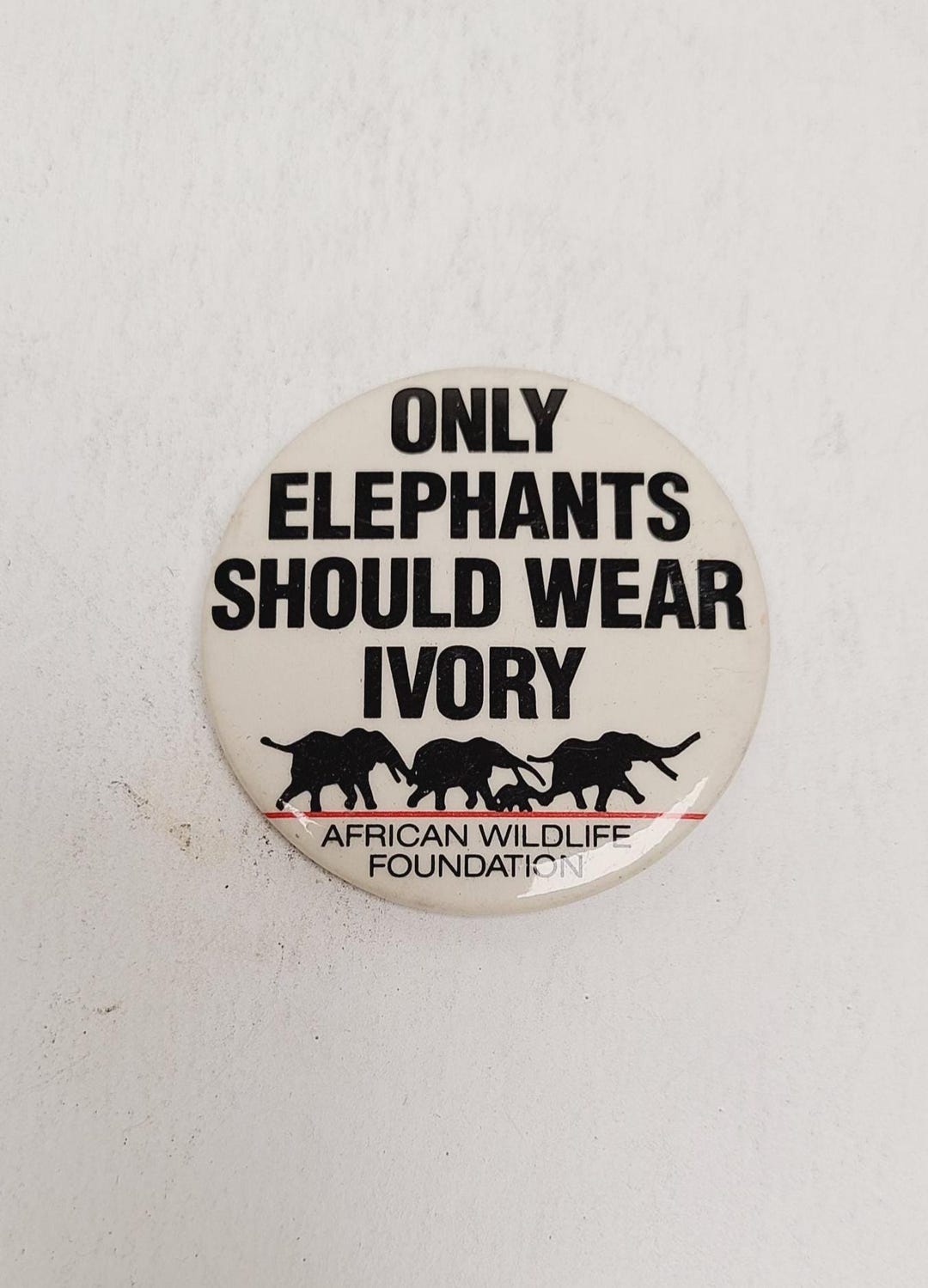 Vintage Circa 1990's Conservation Pinback Button 