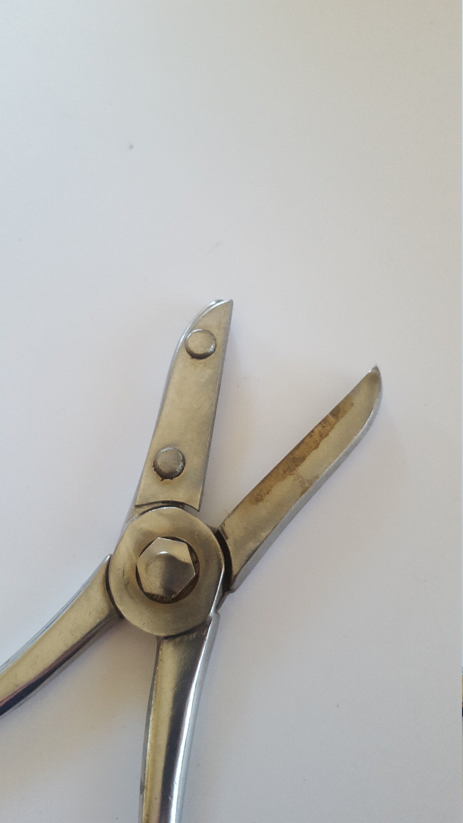Vintage Wiss Flower Shears attributed cleaned chrome Etsy