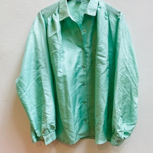May include: A light green button-down shirt with long sleeves, hanging on a wooden hanger. The shirt has a classic collar and buttoned cuffs. The fabric has a slight sheen.