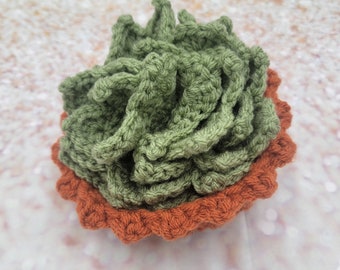 Crochet Succulent Coasters