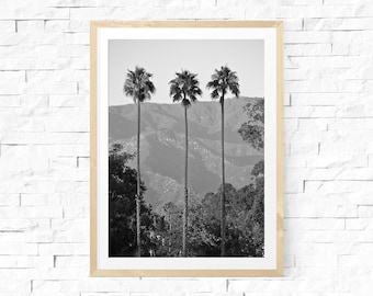 Santa Barbara Palms, Palm Tree Print, Black and White Palm Tree, Tropical Print - Photo Print