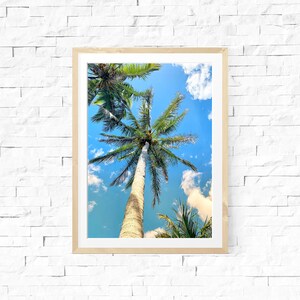 Palm Tree Print, Tropical Print, Florida - Photo Print