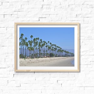 May include: A framed photograph of a beach scene with a row of palm trees lining the shore. The sky is blue and the sand is white.